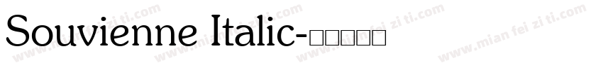Souvienne Italic字体转换